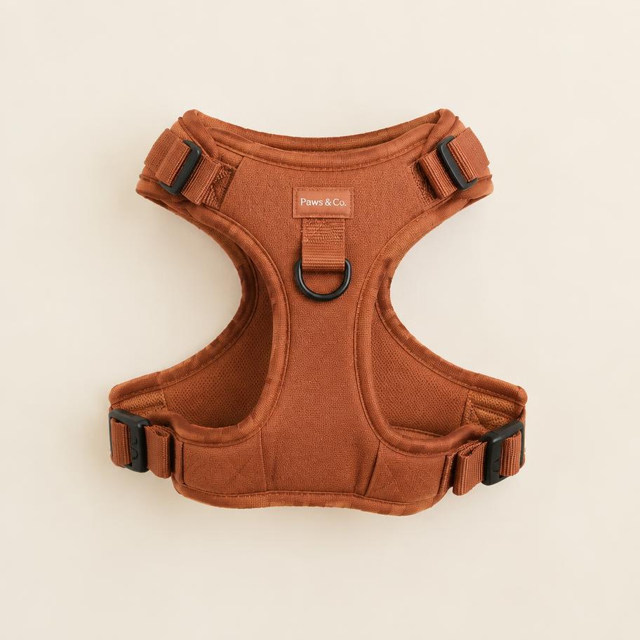 Padded No-Pull Harness